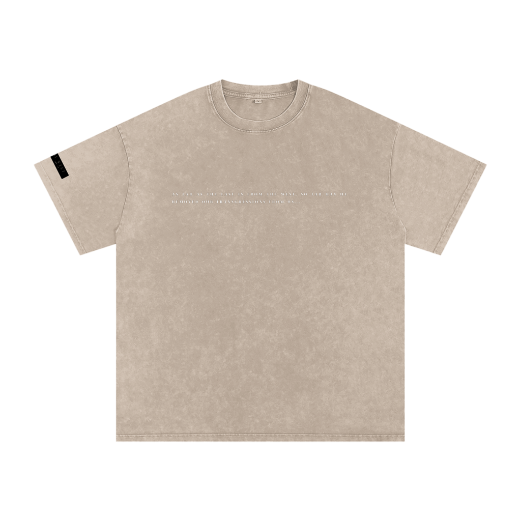 Snow Washed Oversized Cotton T-Shirt