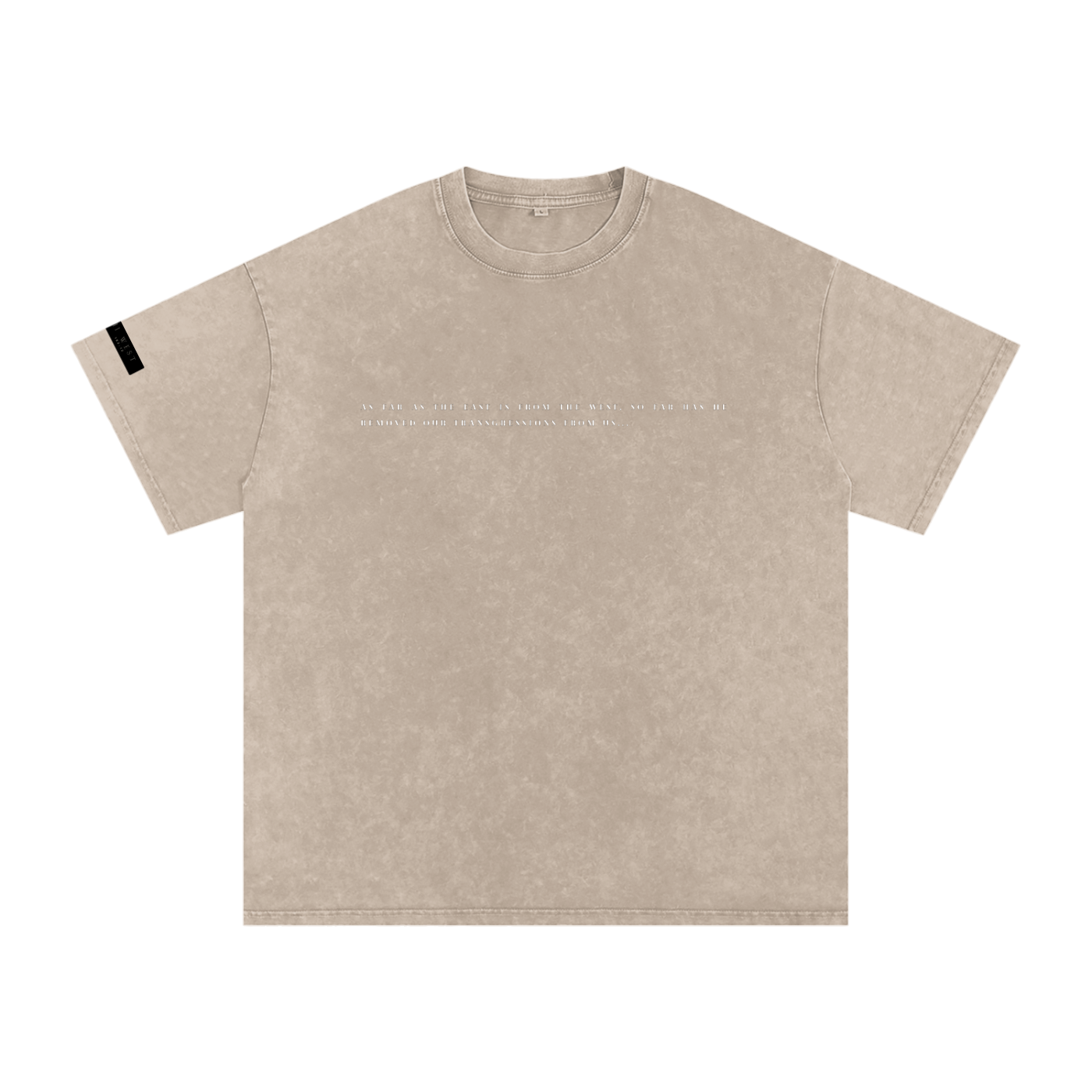 Snow Washed Oversized Cotton T-Shirt